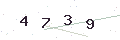 验证码